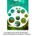 Nepsie - Les Lagunes des landes de Gascogne -Graphisme de supports pégagogique et sensibles