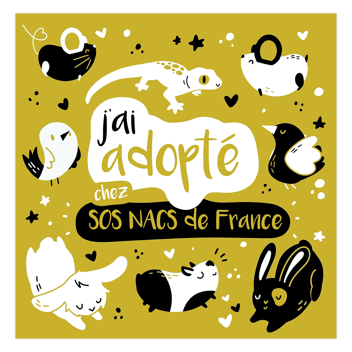 Visuel J'ai adopté Nacs de France lapins oiseaux souris, cochons d'inde Nepsie - graphiste Illustratrice Tours et Amboise
