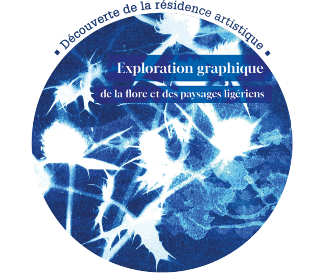 Création d'une identité graphique pour Esperlurverte - traduction anglais -> français - Nepsie - graphiste Tours et Amboise